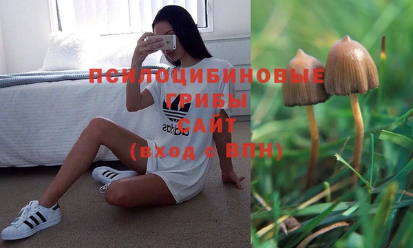 mix Медногорск
