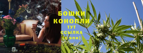 МДПВ Медвежьегорск