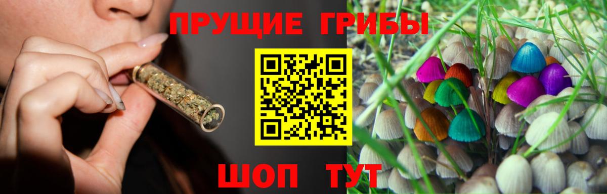 Чебоксары  Псилоцибиновые грибы Psilocybe  Вход с VPN 