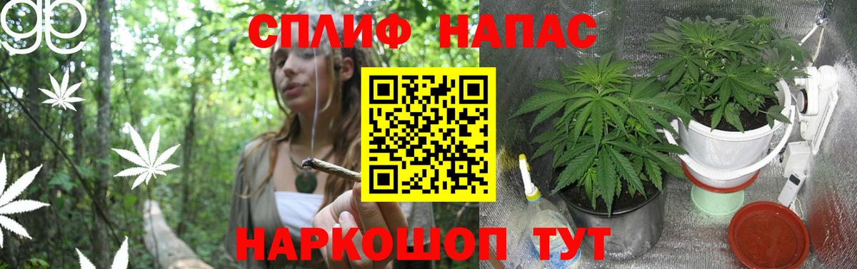 Конопля индика  Бошки марихуана MAZAR  Шишки марихуана тримм  Конопля THC 21%  Чебоксары  Вход с VPN 